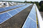 Hier sehen Sie die Solarmodule auf dem Dach in Ludwigsburg (Foto: Andreas Hopp)
