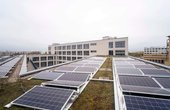 Gründach mit Solarmodulen auf Berliner Schule (Foto: Mathias Völzke)