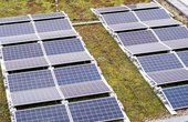 Gründach mit Solarmodulen auf Berliner Schule (Foto: Mathias Völzke)