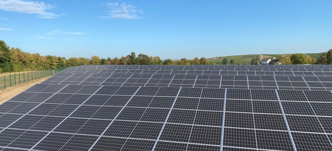 Solarpark Welgesheim in Betrieb (Foto: EnBW-HÖRMANN)