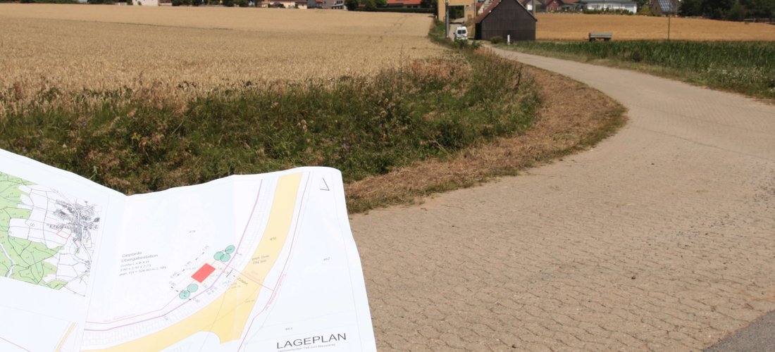 Der neue Solarpark in Birkenfeld bietet neuen Lebensraum für Flora und Fauna