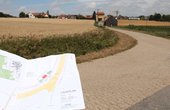 Der neue Solarpark in Birkenfeld bietet neuen Lebensraum für Flora und Fauna