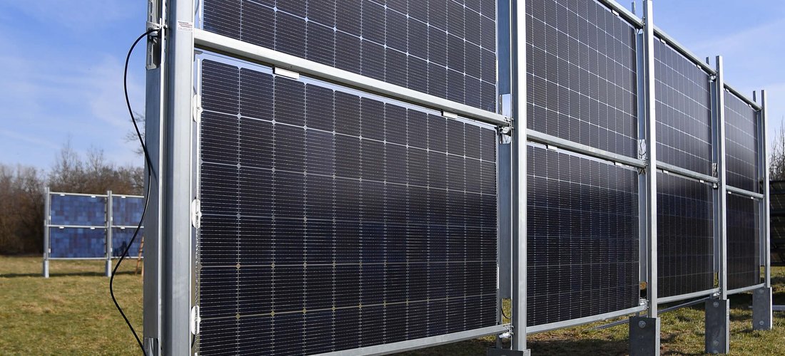 Bei den senkrechten Agri-PV-Modulen in Gersthofen bleiben die etwa ein Meter breiten Wiesenstreifen unter den Modulen unbewirtschaftet. (Quelle: LEW / Bernd Feil)