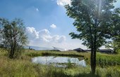 Hier sehen Sie den Solarpark Wachstedt in Nord-Thüringen (Foto: Green City AG)