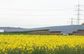 Hier sehen Sie die Solarmodule auf der Freifläche in Alsbach-Hähnlein (Foto: Marc Fippel)