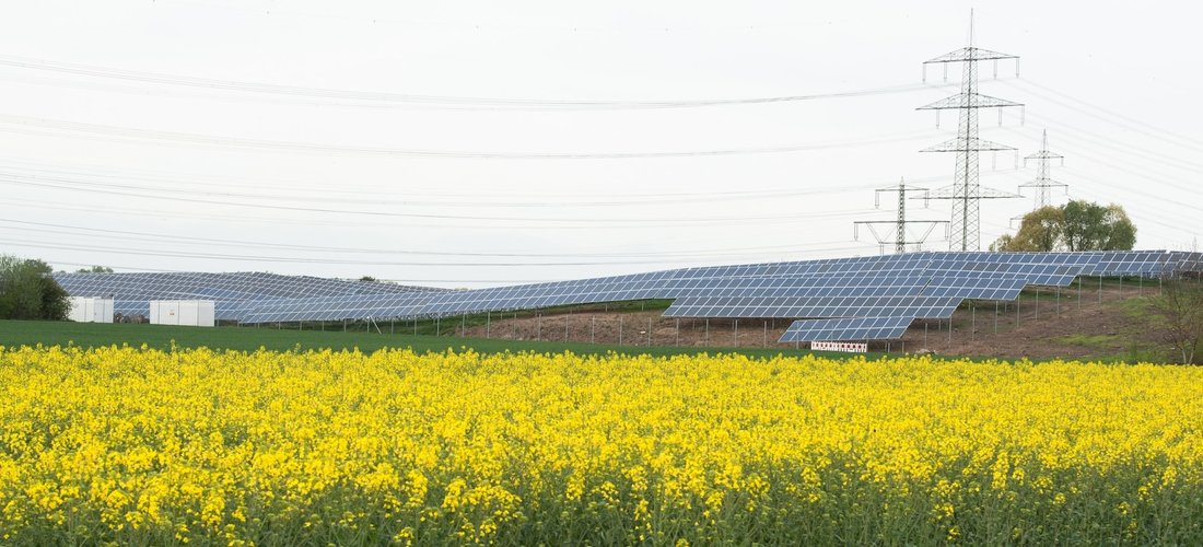 Hier sehen Sie die Solarmodule auf der Freifläche in Alsbach-Hähnlein (Foto: Marc Fippel)