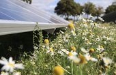 Hier sehen Sie die Solarmodule im Solarpark Rapshagen (Foto: GP Joule)
