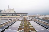 Gründach mit Solarmodulen auf Berliner Schule (Foto: Mathias Völzke)