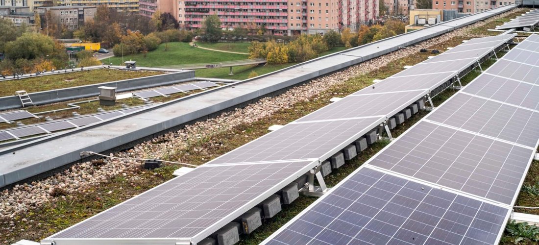 Gründach mit Solarmodulen auf Berliner Schule (Foto: Mathias Völzke)